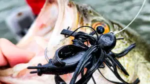 Why the Skirted Jig Is the GOAT for Bass Lures