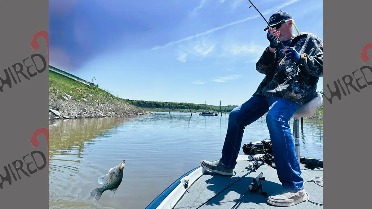 Rick Dykstra pulls in a big crappie from the back of a cove on Tuttle Creek Reservoir in northeast Kansas.