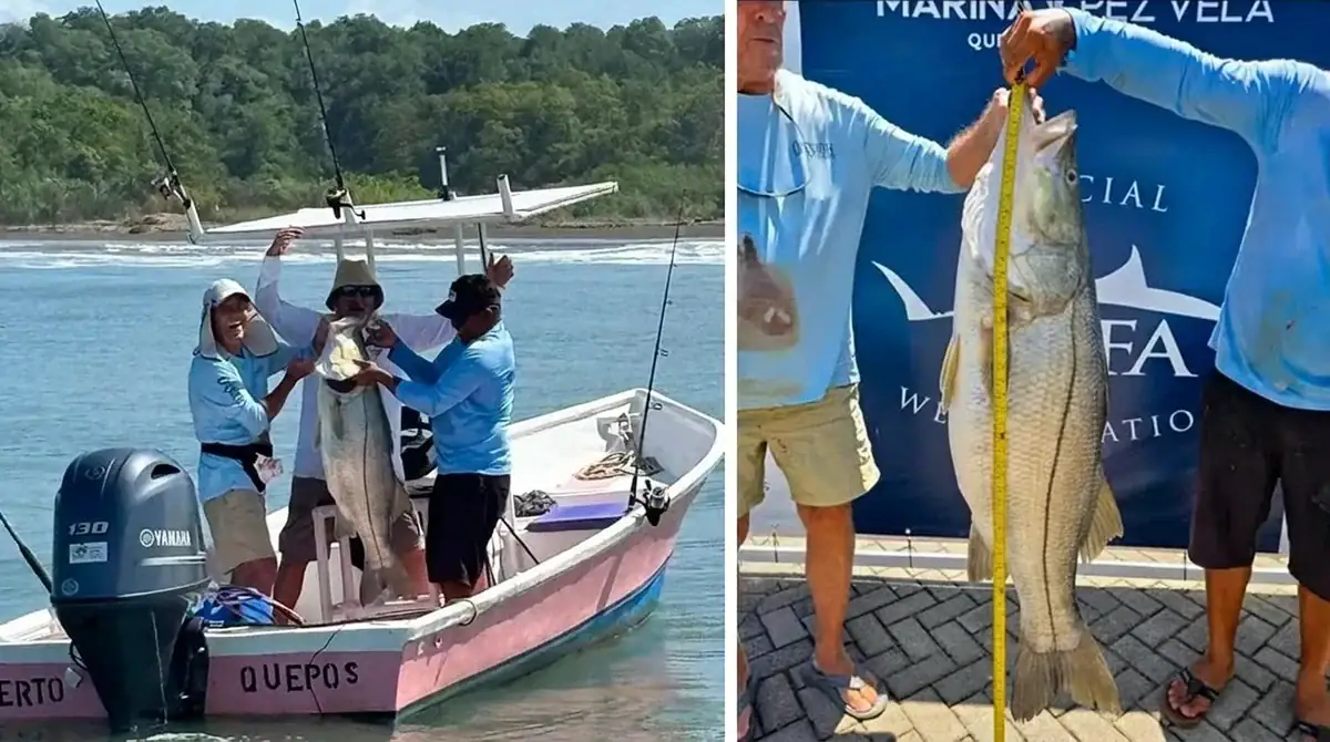 The anglers who caught the possible IGFA record-breaking Pacific black snook (left); measuring the snook (right).