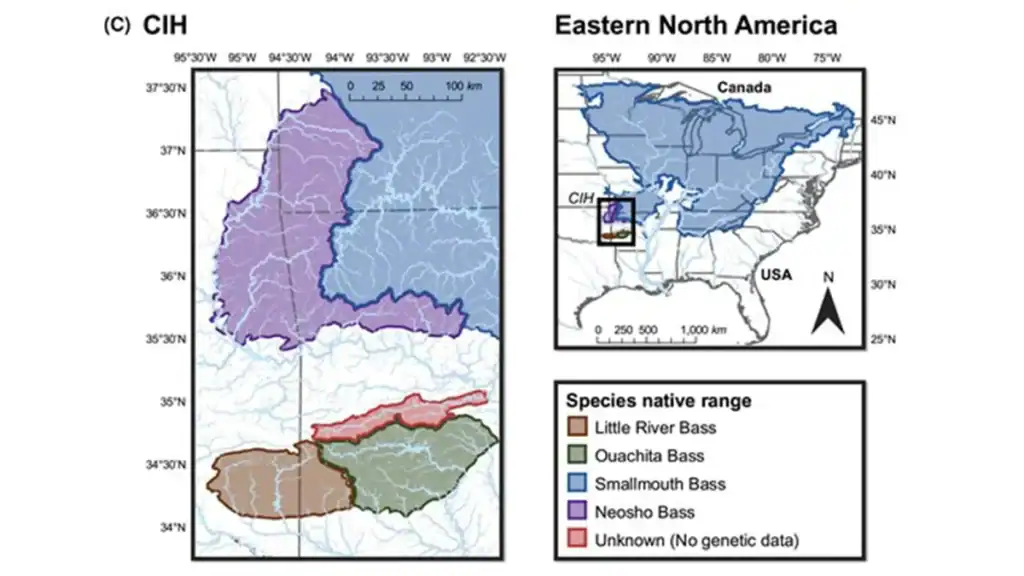types of smallmouth bass ranges