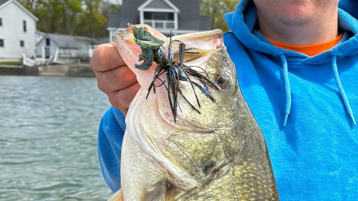 An angler holds up an open-mouth bass caught with a skirted jig.