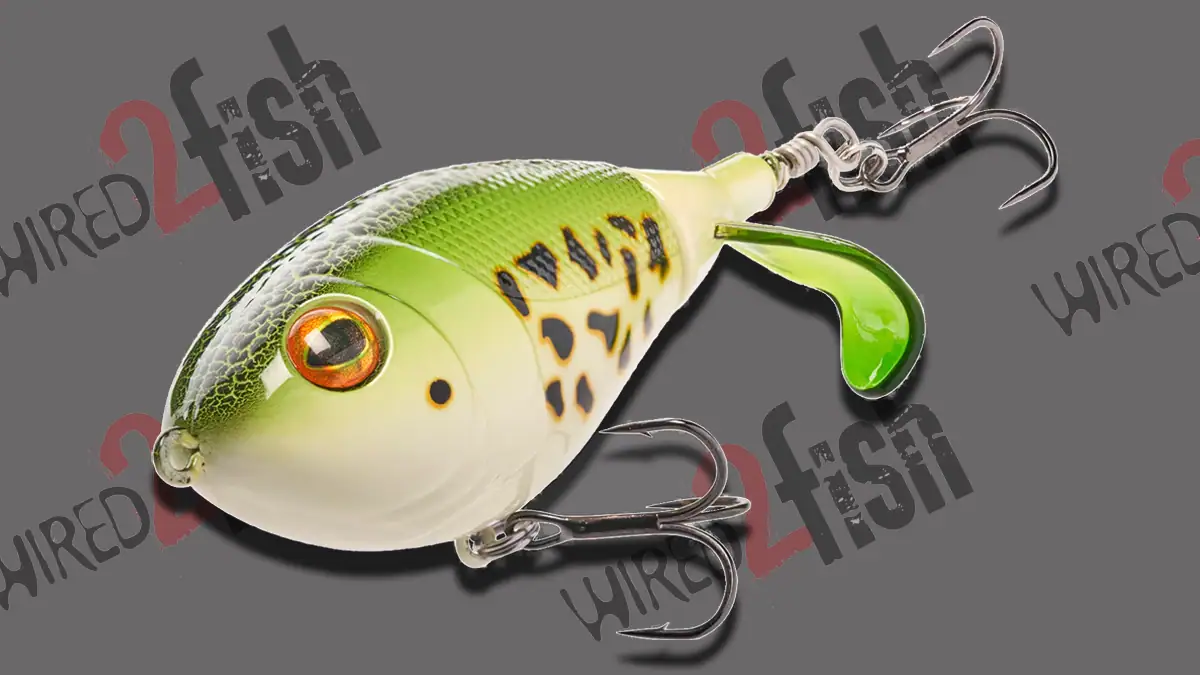 Bass Pro Shops XPS Chaos Shad.