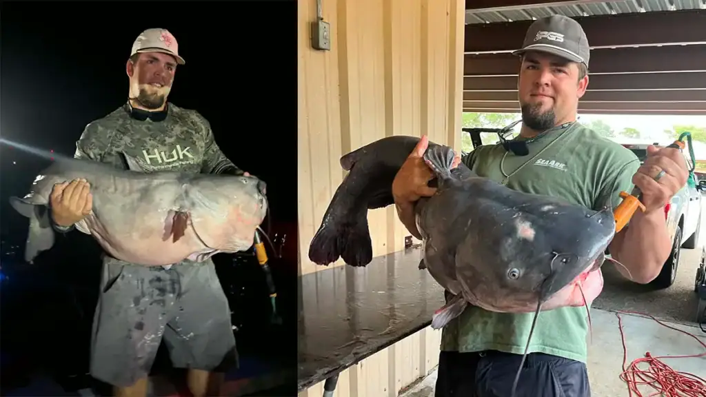 Belton record catfish