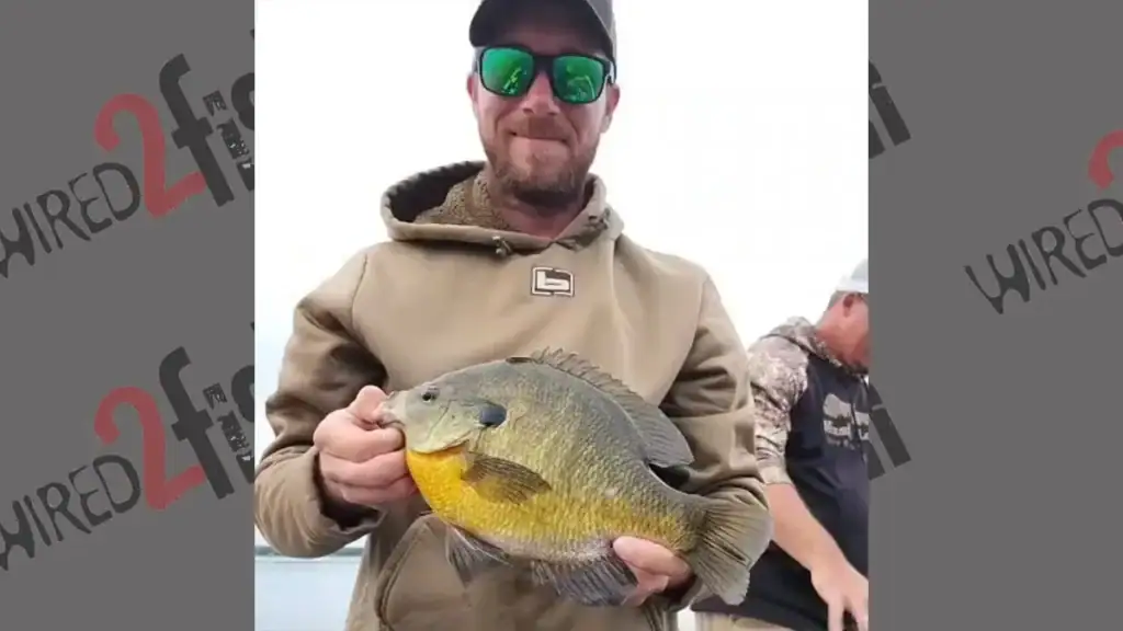 Chris Mulcahey and record bluegill