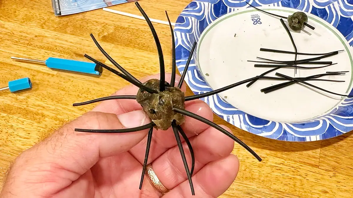 A completed DIY urchin-style bait.