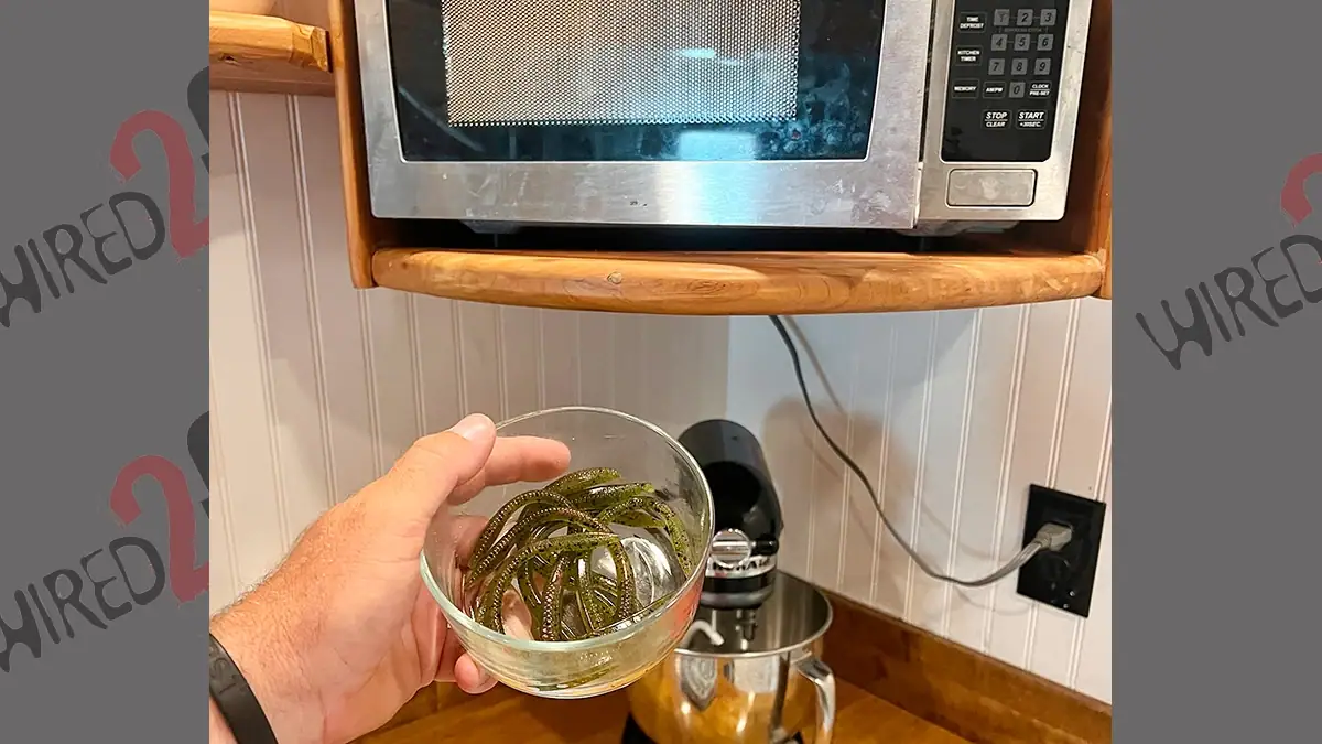 Soft-plastic worms before they're melted down to make the bodies for a batch of DIY urchin bait. Make sure you're not microwaving lures with metal flakes!