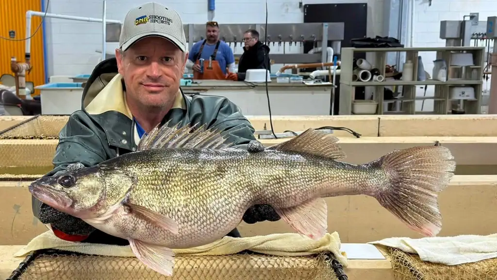 Randy Esser, fish culture technician at Rathbun Fish Hatchery in Iowa, posed with a trophy fish netted at Rathbun Lake in April.