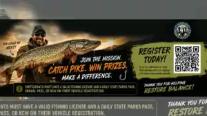 Anglers Can Win $500 Just By Catching Invasive Pike