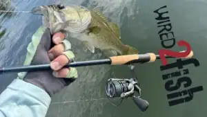Hands-On Product Review: Lew’s HyperMag Shallow Spool 300 Spinning Reel