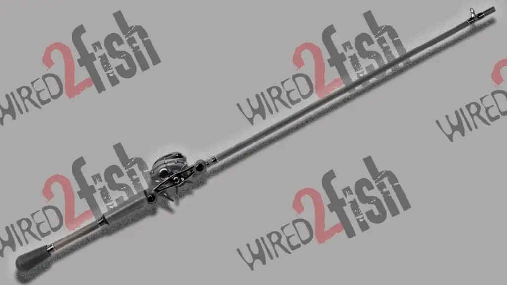 Lew's TP2 Baitcast Combo.