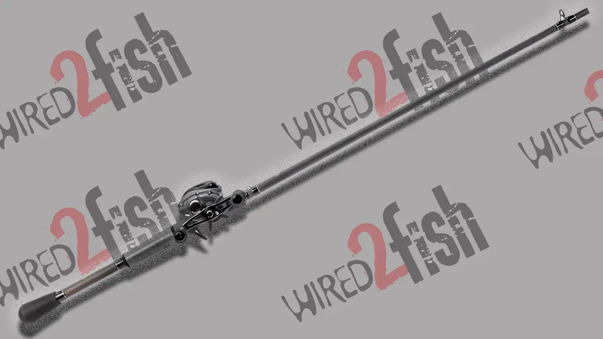 Lew's TP2 Baitcast Combo.