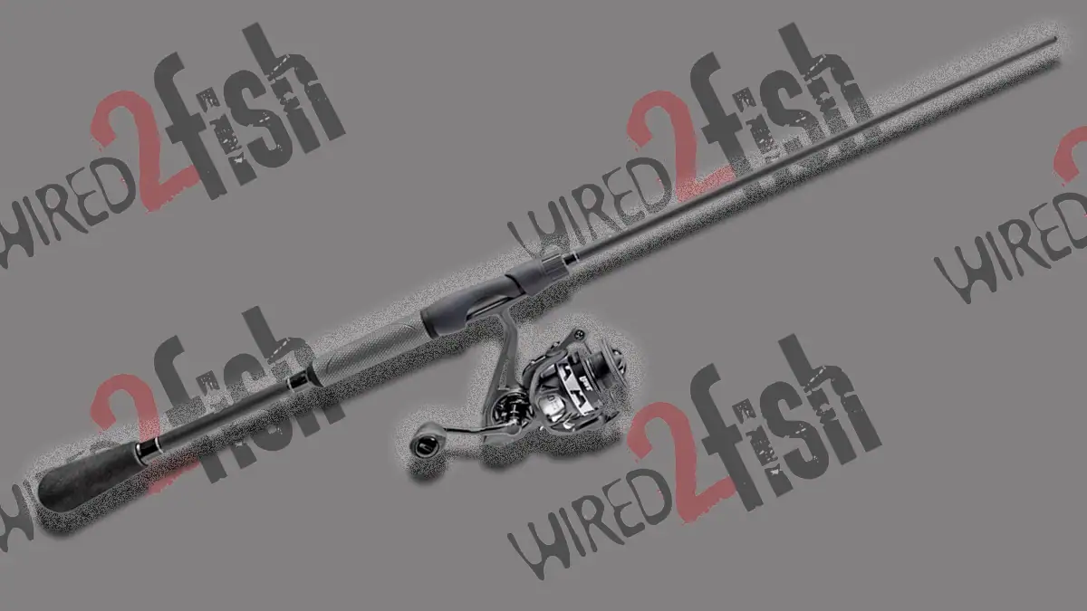 Lew's TP2 Spinning Combo.