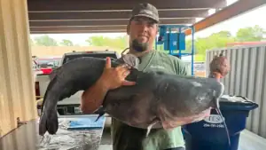 Record Blue Catfish Measuring 50-Inches Long And 75-Pounds Caught-And-Released