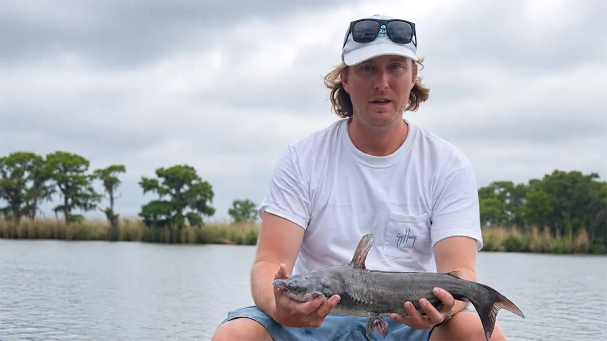 Mike Jones catches a lot of smaller catfish in June. and that suits him just fine.