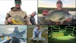 Minnesota Is On A Fish-Catching Tear With 9 Record State Fish Landed This Year