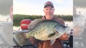 Angler Ends Great Fishing Day by Catching Giant State-Record Black Crappie