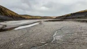 Fish Kills Spread Across the West as Drought Drains Reservoirs and Threatens Entire Fisheries