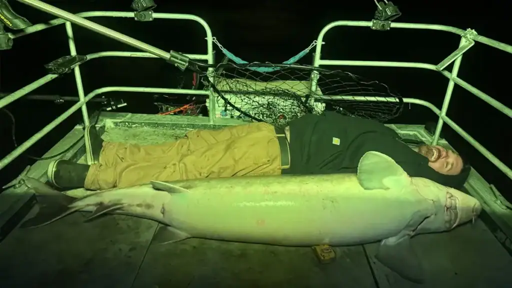Travis Keating and record Lake Sturgeon