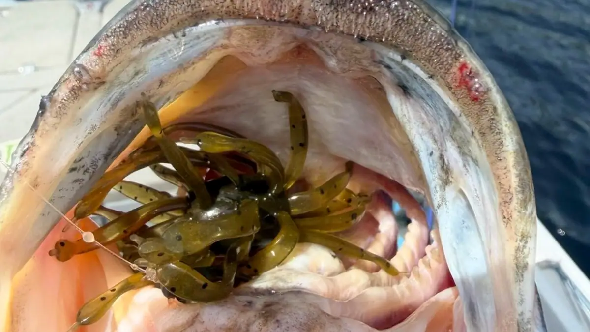 One of the lures Trey McKinney is throwing this July.