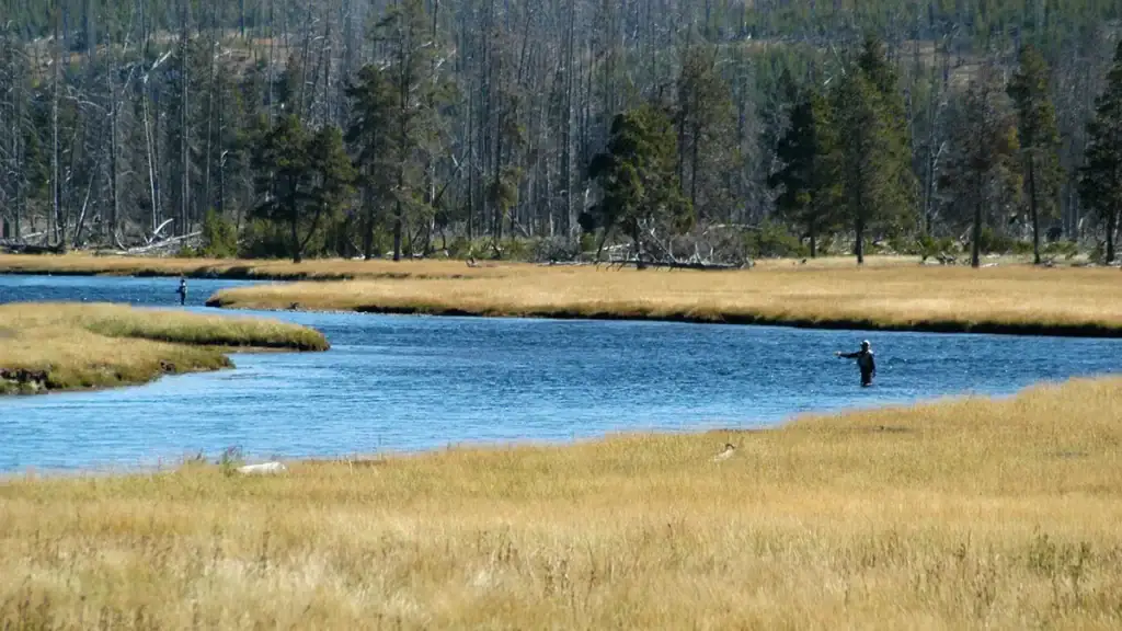 anglers in Madison River