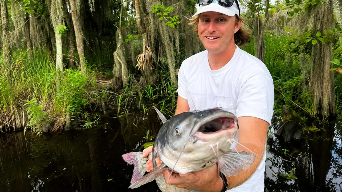 Mike Jones targets the deepest bends in the river in June, where shad balls concentrate and hungry blue cats stack up.