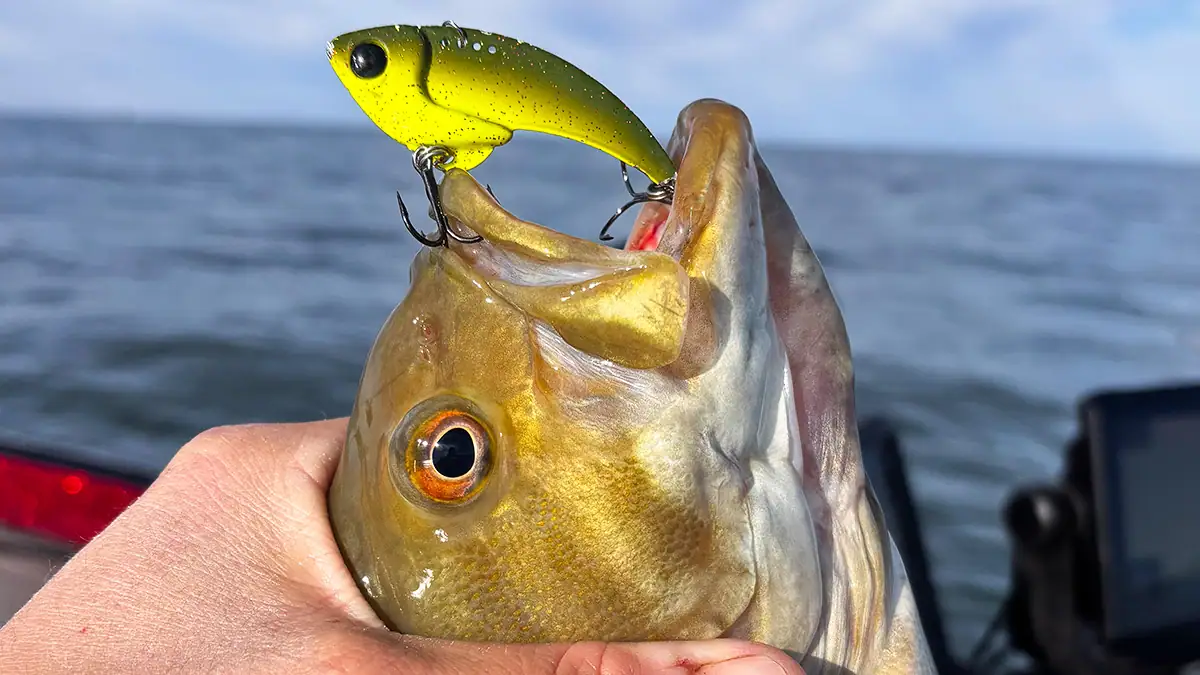 Entire lure categories are now designed specifically to imitate gobies.