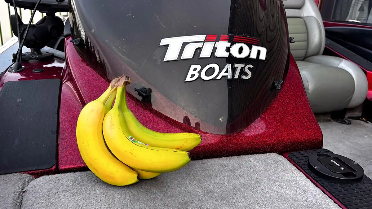 Never bring a banana on the boat.