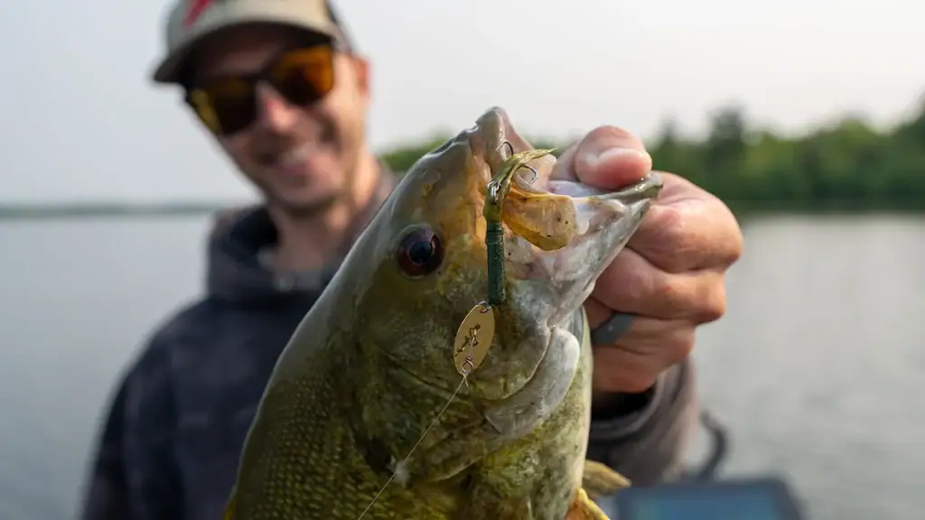 Smallmouth caught on a Z-Man ChatterTail