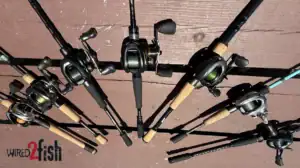 Saltwater baitcaster opener