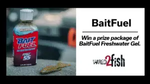 The new BaitFuel Freshwater Gel giveaway.