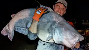 Angler Catches Two Catfish at Once, Puts 178 Pounds in His Boat With the Pair