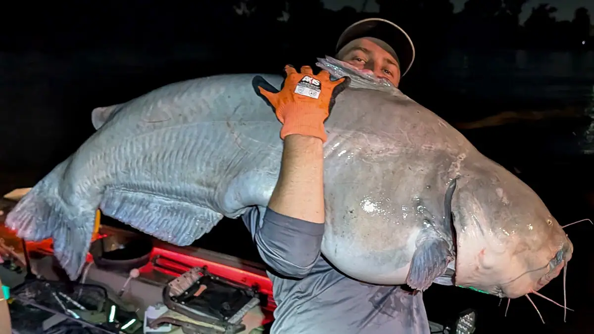 Missouri angler Brad Hilton and the 101.36-pound blue catfish he caught July 2.