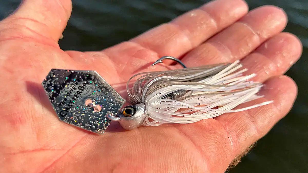 Reviewing Z-Man's ChatterBait EVO HD: A close-up of the bait in an open palm.