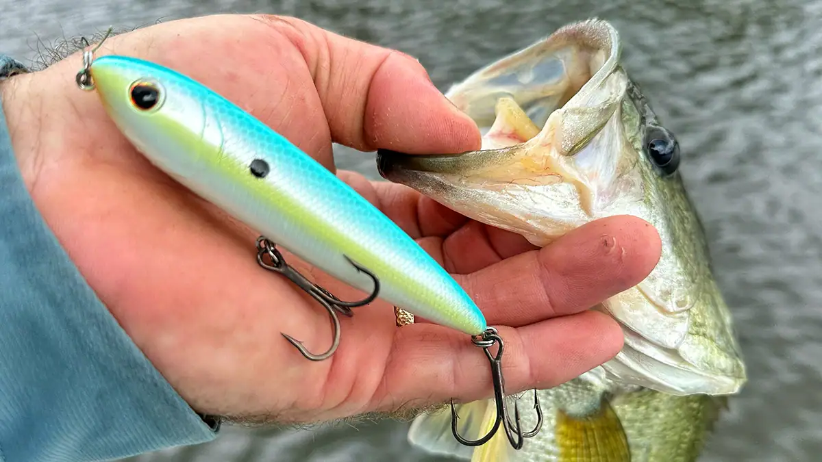 Catching fish with Gamakatsu Outsider Treble Hooks used on a Berkley J-Walker.