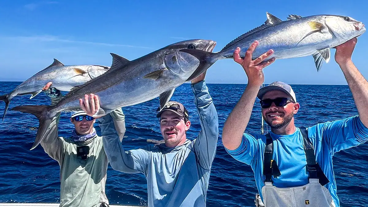 A trio of fish caught from the waters of Gulf Shores, Alabama.