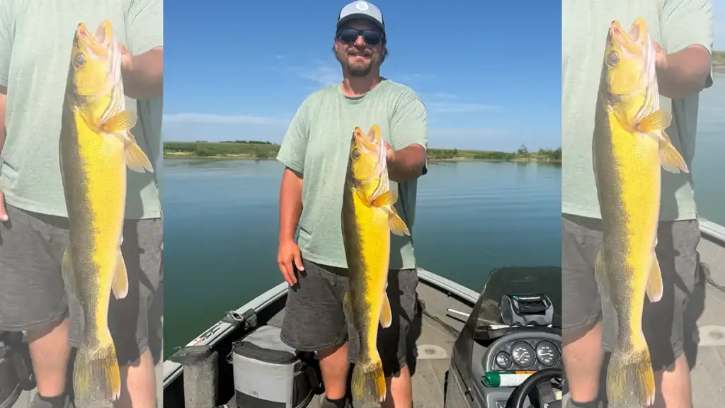 Jacob Wendel and golden walleye