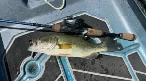 Reel Review: KastKing Kestrel Ultimate BFS Casting Reel Review