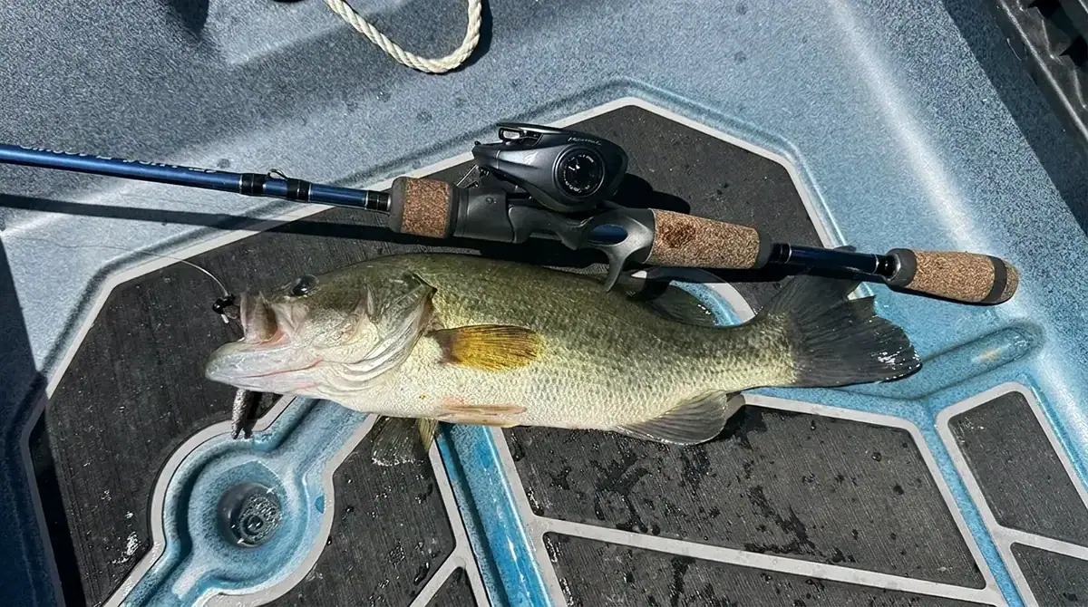 12 foot surf fishing rod combo Carbon but soft enough to artist: Bowling For Soup Pound Test:20 lb. Let's Fish® Three-Tray Tackle