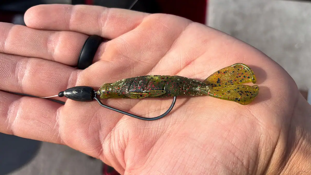 A Lake Fork Pro Craw held in an open hand.