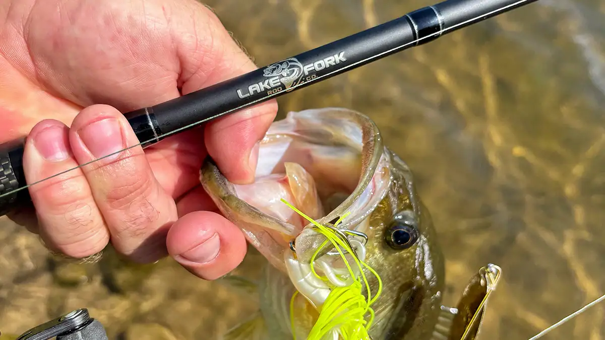 One more fish caught while testing the Lake Fork Silver Series.