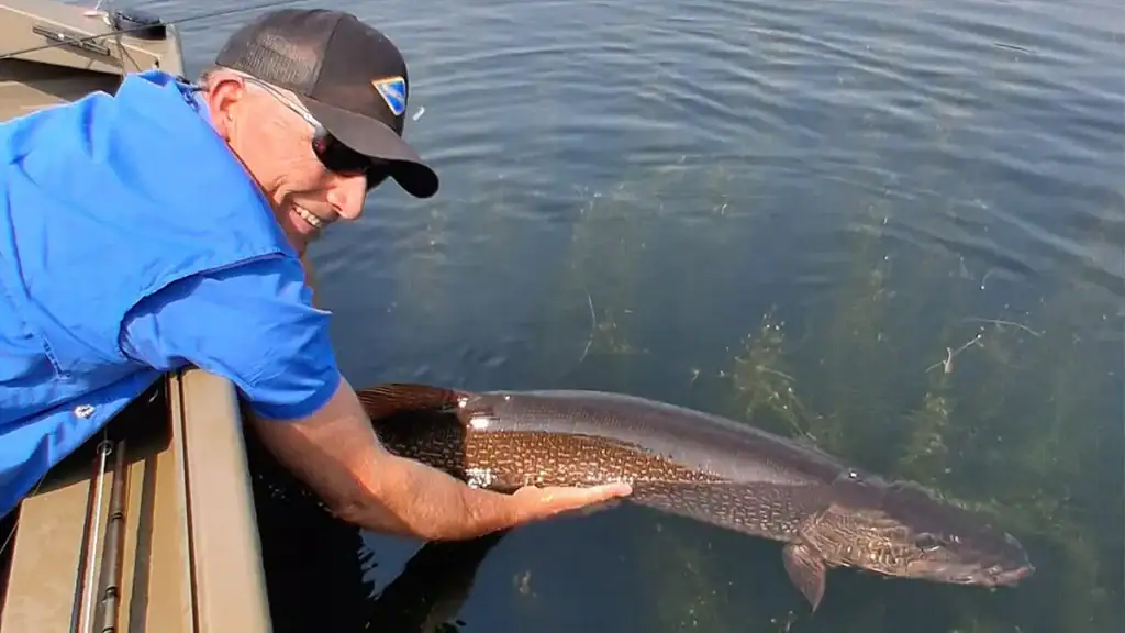 Mahoney releasing pike