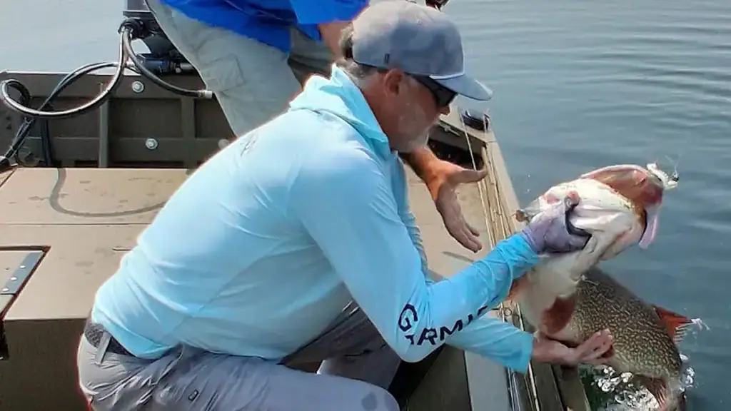 Pennaz grabbing huge pike
