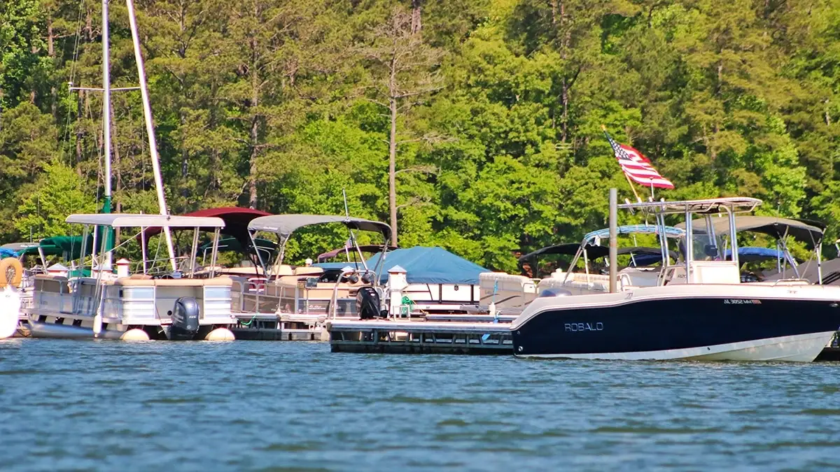 Fishing around marinas can be great for summer bassing, as long as you're legally allowed to do so.