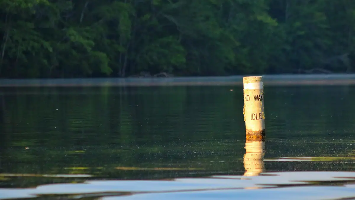 Fishing in no-wake zones can be tough, but also can offer a reprieve from the main lake's seasonal mayhem.