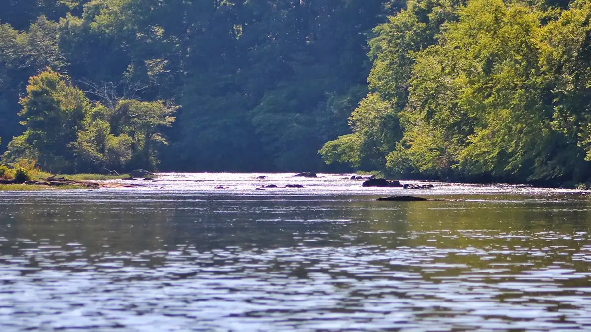 Cooler, more oxygen-rich waters can be great places to find summertime bass.