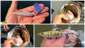 What Lures We’re Throwing in August 2026