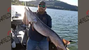 Angler Breaks Northern Pike Record In State Better Known For Giant Trout