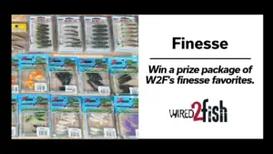 Lead image for the W2F finesse prize package.