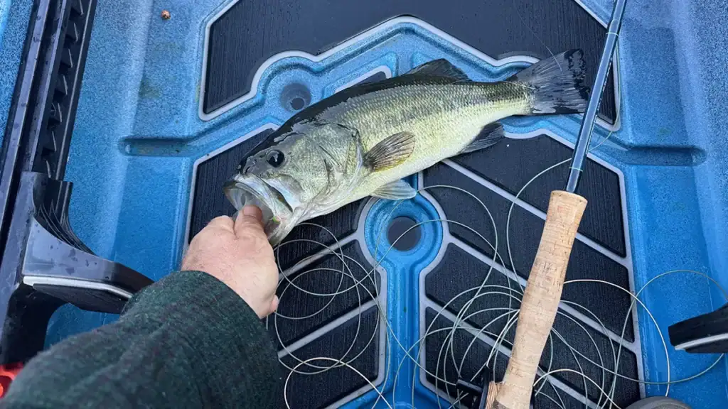 fly line in Old Town Sportsman 120 Pro