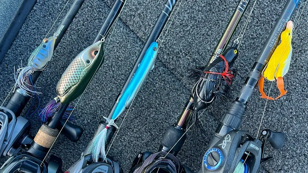 Hollow-Body Baits: the Fishlab Rattle Toad, SPRO Bronzeye King Daddy Frog, Snag Proof Zoo Prop, Flip in the Bird, and Savage Fruck.